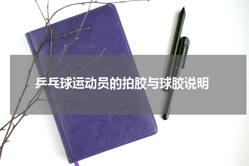  乒乓球运动员的拍胶与球胶说明
