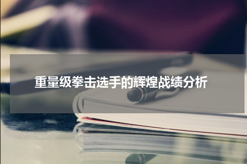  重量级拳击选手的辉煌战绩分析