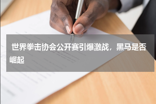  世界拳击协会公开赛引爆激战，黑马是否崛起    