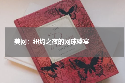  美网：纽约之夜的网球盛宴   