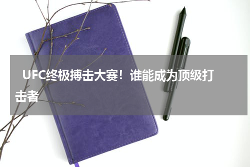   UFC终极搏击大赛！谁能成为顶级打击者    