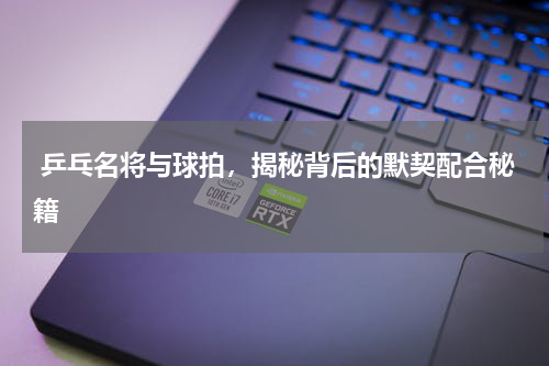  乒乓名将与球拍，揭秘背后的默契配合秘籍