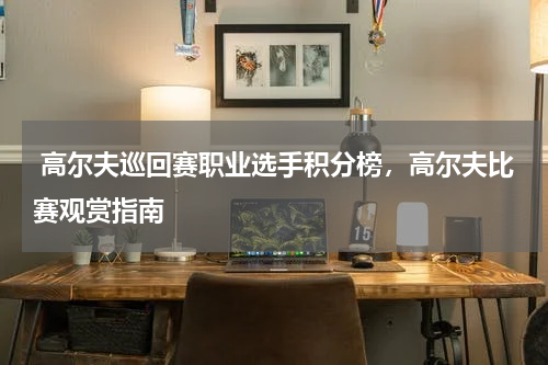  高尔夫巡回赛职业选手积分榜，高尔夫比赛观赏指南