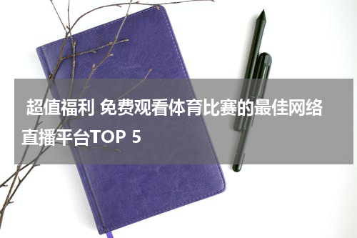  超值福利 免费观看体育比赛的最佳网络直播平台TOP 5