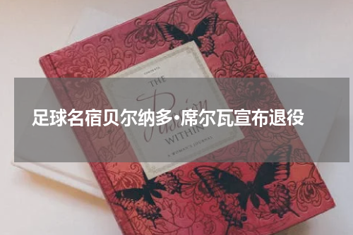  足球名宿贝尔纳多·席尔瓦宣布退役
