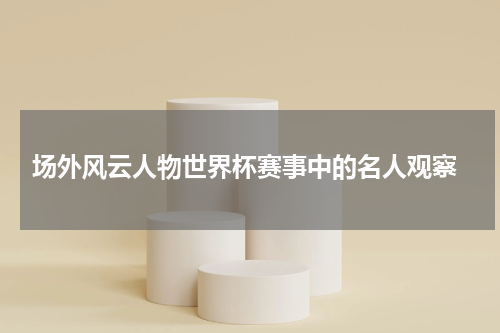  场外风云人物世界杯赛事中的名人观察