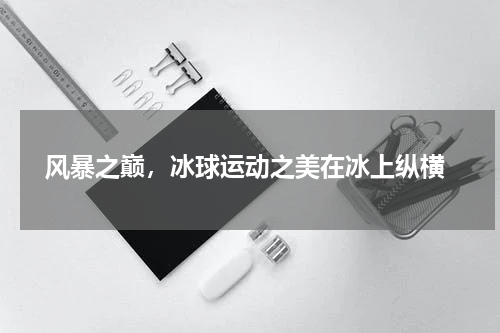  风暴之巅，冰球运动之美在冰上纵横