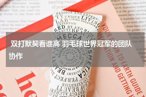  双打默契看谁高 羽毛球世界冠军的团队协作