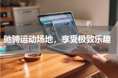  驰骋运动场地，享受极致乐趣