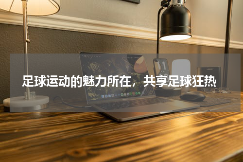  足球运动的魅力所在，共享足球狂热