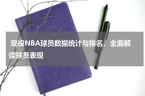  现役NBA球员数据统计与排名，全面解读球员表现