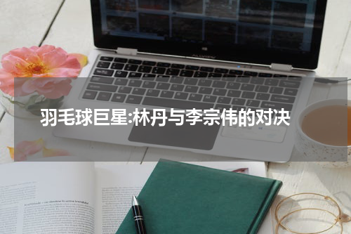  羽毛球巨星:林丹与李宗伟的对决