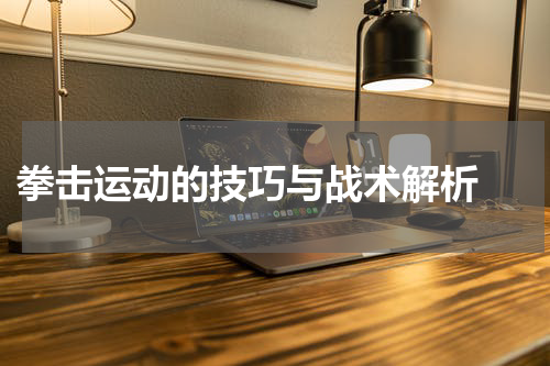  拳击运动的技巧与战术解析 