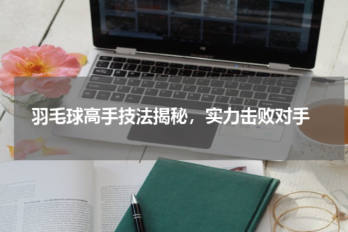  羽毛球高手技法揭秘，实力击败对手