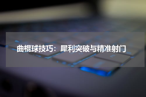  曲棍球技巧：犀利突破与精准射门