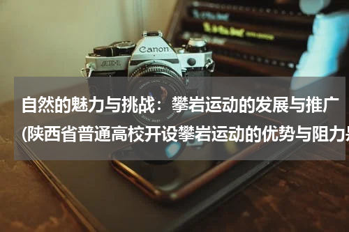 自然的魅力与挑战：攀岩运动的发展与推广(陕西省普通高校开设攀岩运动的优势与阻力是什么？)