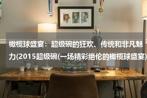 橄榄球盛宴：超级碗的狂欢、传统和非凡魅力(2015超级碗(一场精彩绝伦的橄榄球盛宴))