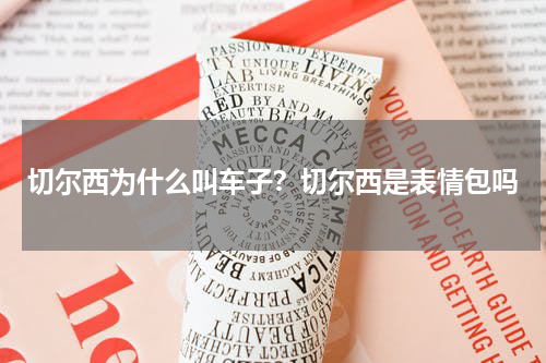 切尔西为什么叫车子？切尔西是表情包吗