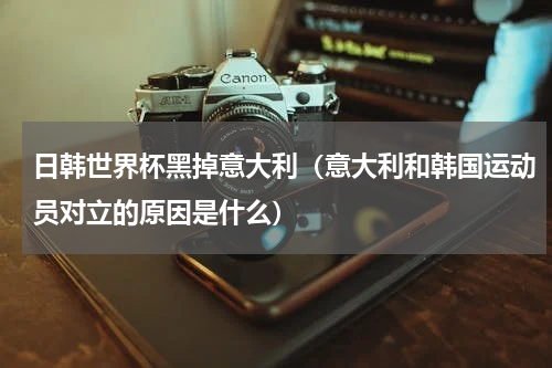 日韩世界杯黑掉意大利（意大利和韩国运动员对立的原因是什么）