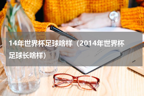 14年世界杯足球啥样（2014年世界杯足球长啥样）