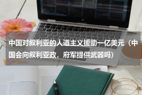 中国对叙利亚的人道主义援助一亿美元（中国会向叙利亚政，府军提供武器吗）