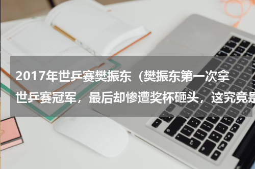 2017年世乒赛樊振东（樊振东第一次拿世乒赛冠军，最后却惨遭奖杯砸头，这究竟是怎么回事）