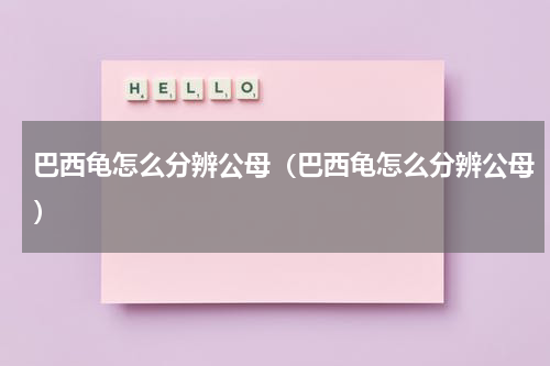 巴西龟怎么分辨公母（巴西龟怎么分辨公母）