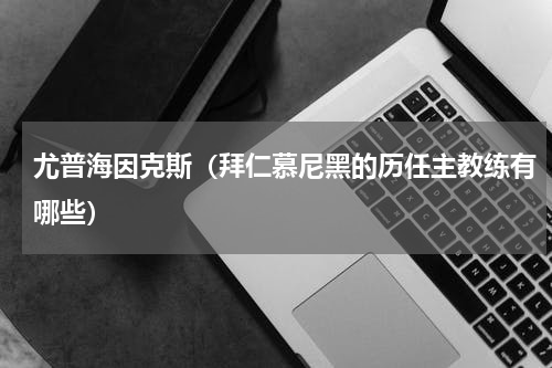 尤普海因克斯（拜仁慕尼黑的历任主教练有哪些）