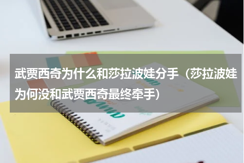 武贾西奇为什么和莎拉波娃分手（莎拉波娃为何没和武贾西奇最终牵手）