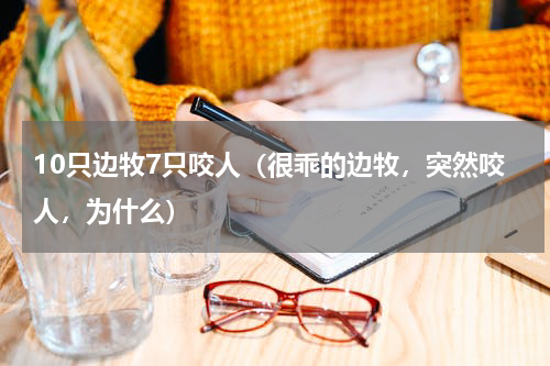 10只边牧7只咬人（很乖的边牧，突然咬人，为什么）