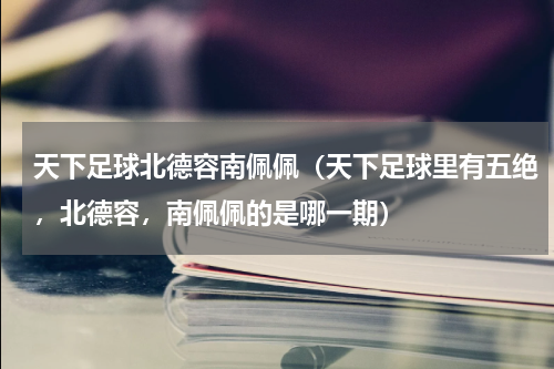 天下足球北德容南佩佩（天下足球里有五绝，北德容，南佩佩的是哪一期）