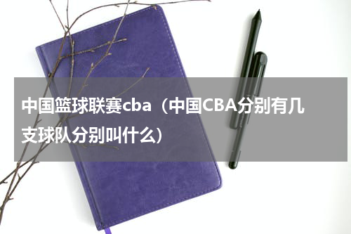 中国篮球联赛cba（中国CBA分别有几支球队分别叫什么）