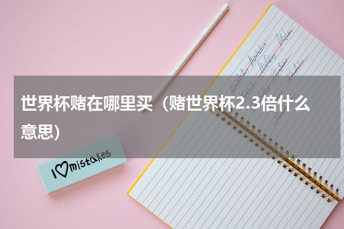 世界杯赌在哪里买（赌世界杯2.3倍什么意思）