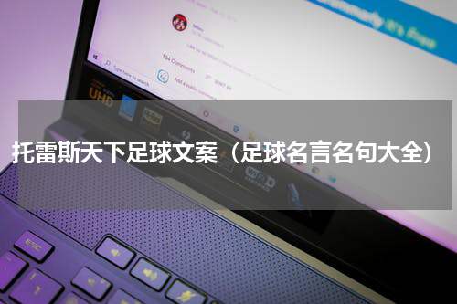 托雷斯天下足球文案（足球名言名句大全）
