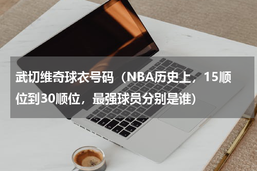 武切维奇球衣号码（NBA历史上，15顺位到30顺位，最强球员分别是谁）