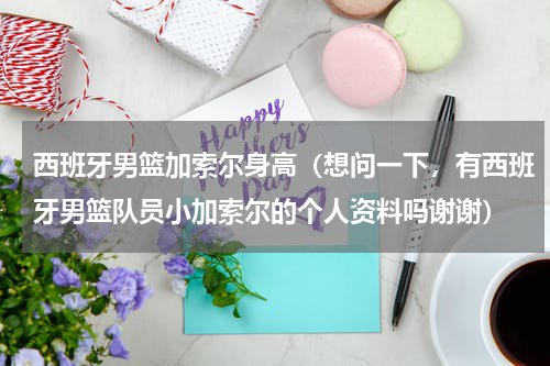 西班牙男篮加索尔身高（想问一下，有西班牙男篮队员小加索尔的个人资料吗谢谢）