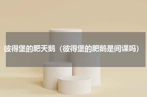 彼得堡的肥天鹅（彼得堡的肥鹅是间谍吗）