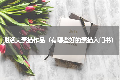 谢洛夫素描作品（有哪些好的素描入门书）