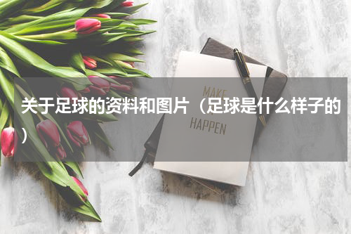 关于足球的资料和图片（足球是什么样子的）