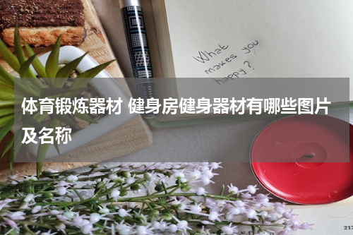 体育锻炼器材 健身房健身器材有哪些图片及名称