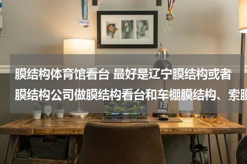 膜结构体育馆看台 最好是辽宁膜结构或者膜结构公司做膜结构看台和车棚膜结构、索膜结构、空间膜做的好的有哪些膜结构公司？