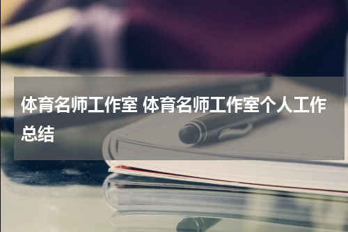 体育名师工作室 体育名师工作室个人工作总结