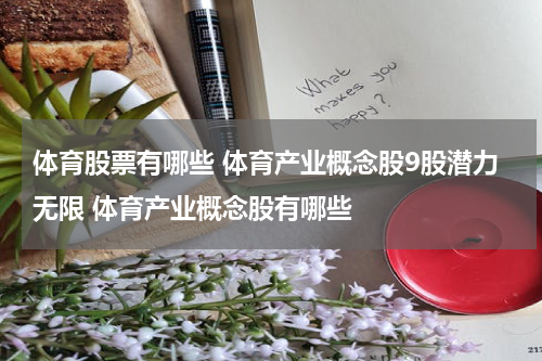 体育股票有哪些 体育产业概念股9股潜力无限 体育产业概念股有哪些