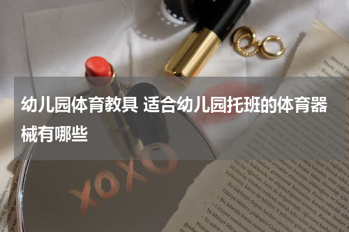 幼儿园体育教具 适合幼儿园托班的体育器械有哪些