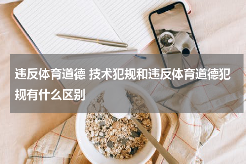 违反体育道德 技术犯规和违反体育道德犯规有什么区别