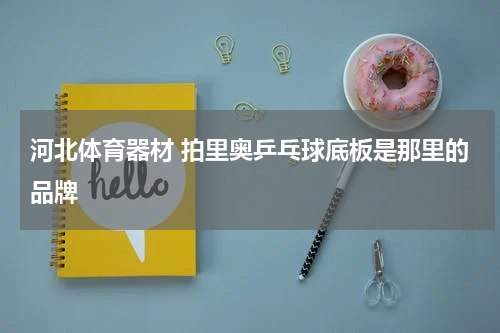 河北体育器材 拍里奥乒乓球底板是那里的品牌