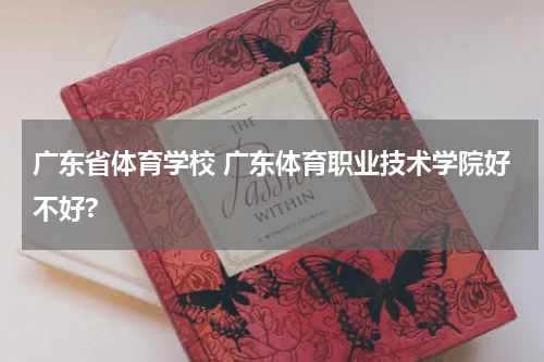 广东省体育学校 广东体育职业技术学院好不好?