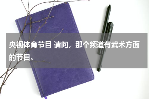 央视体育节目 请问，那个频道有武术方面的节目。