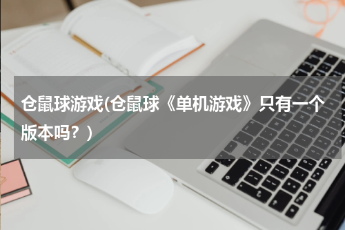 仓鼠球游戏(仓鼠球《单机游戏》只有一个版本吗？)