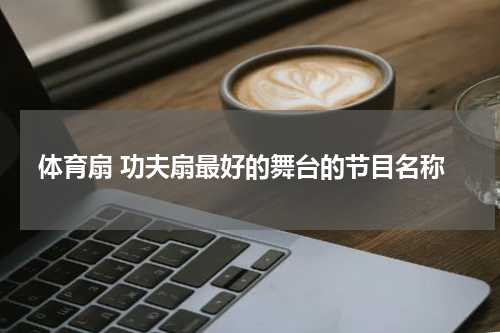 体育扇 功夫扇最好的舞台的节目名称
